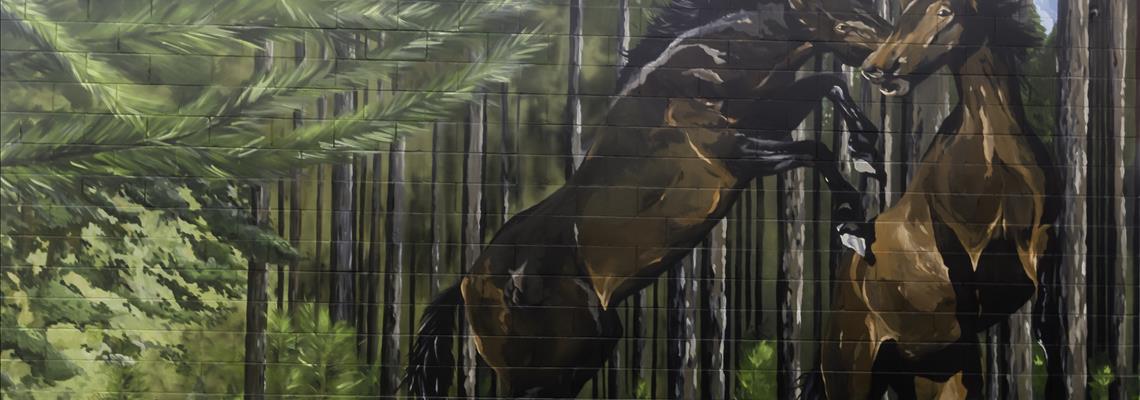 Maryborough Home to Some of Australia’s Best Street Art Drawcards