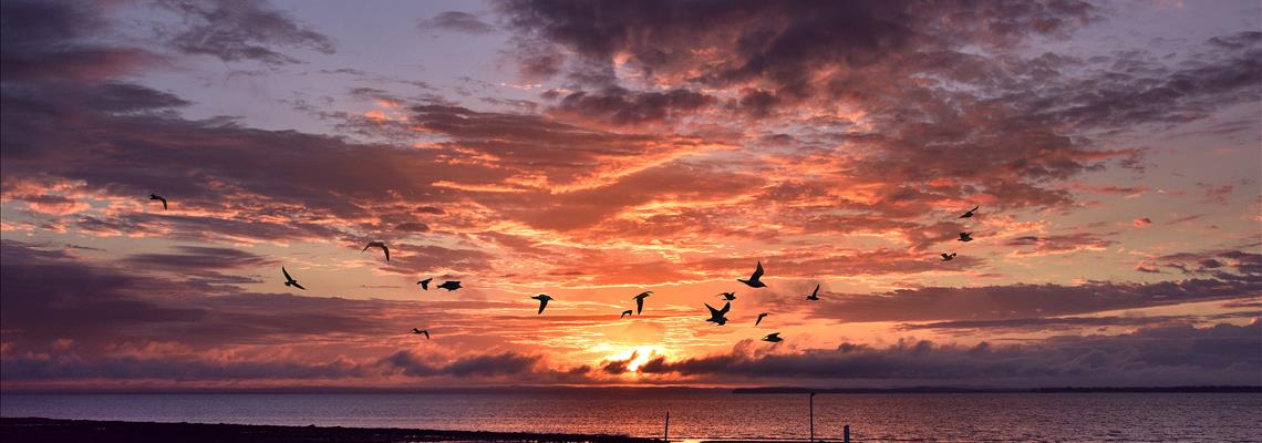 Queensland Business Revival Program